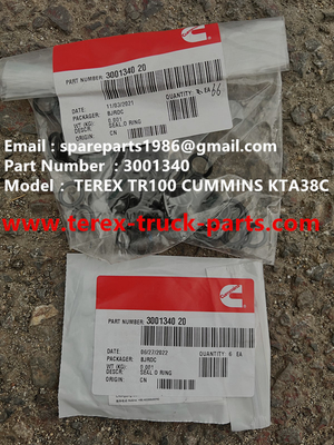 China 3001340 SEAL O RING TEREX CUMMINS DUMP TRUCK  TR50 TR60 TR100 TR70 MINING HAULER OFF HIGHWAY RIGID DUMP TRUCK MT4400AC supplier