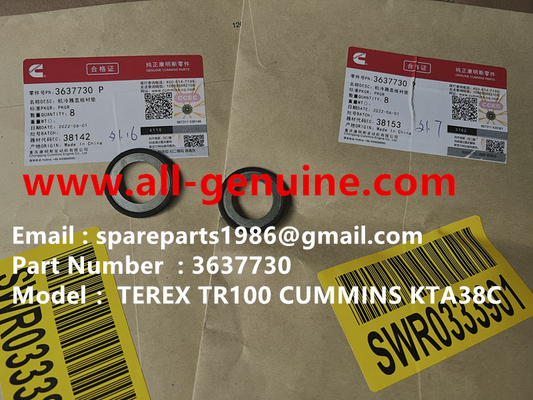China 3637730 GASKET TEREX CUMMINS DUMP TRUCK  TR50 TR60 TR100 TR70 MINING HAULER OFF HIGHWAY RIGID DUMP TRUCK MT4400AC supplier