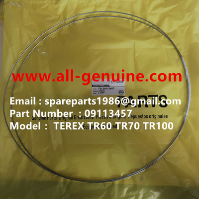 China TEREX 09113457 WIRE NHL DUMP TRUCK TR35 TR50 TR60 TR100 3305B 3305F 3303 3307 TR45 TR70 MT4400 supplier
