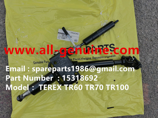 China 15318692 PUMP TEREX NHL GE WHEEL MOTOR TR50 TR60 TR45 TR70 MINING DUMP TRUCK GENUINE MT4400 MT3600 BELAZ 75131 HAULER supplier