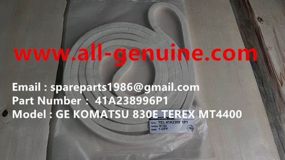 China 41A238996P1 SEAL GE TEREX UNIT RIG BUCYRUS MT4400AC MT5500 MT3600 NTE240 NTE260 NHL MINING DUMP TRUCK HAULER supplier