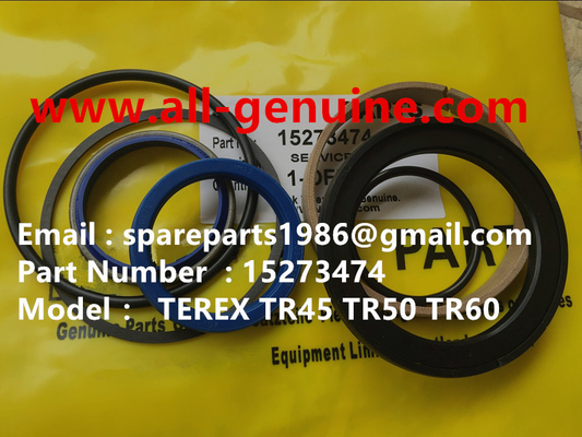 China 15273474 SERVICE KIT TEREX NHL TR50 TR60 TR45 TR70 MINING DUMP TRUCK GENUINE supplier