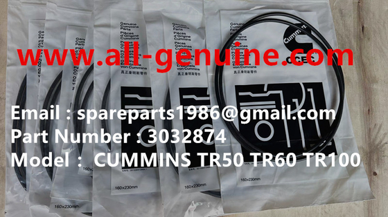 China 3032874 O RING CUMMINS TURBO CHARGER  TEREX TR100 MINING RIGID DUMP TRUCK OFF HIGHWAY TRUCK GENUINE PARTS supplier