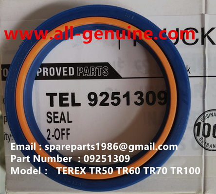 China TEREX 09251309 SEAL NHL MINING DUMP TRUCK TR35 TR50 TR60 TR100 3305B 3305F 3303 3307 TR45 TR70 MT4400 supplier