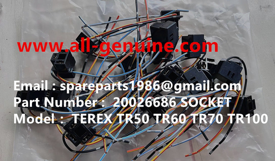 China 20026686 H4 LAMP SOCKET TEREX RIGID DUMP TRUCK 3305F 3303 3307 3304 TR35 TR50 TR60 TR100 MT4400 UNIT RIG ALLISON CUMMINS supplier