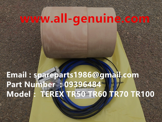 China 9396484 SUSPENSION KIT TEREX DUMP TRUCK TR35 TR50 TR60 TR100 CUMMINS ALLISON UNIT RIG MT4400 MT3600 MT3300 MT3700 SANY supplier