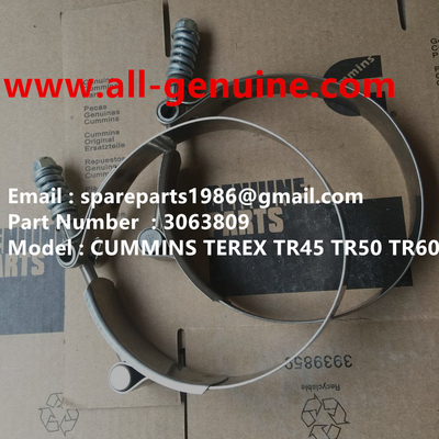 China TEREX CUMMINS  3063809 BOLT CLAMP supplier