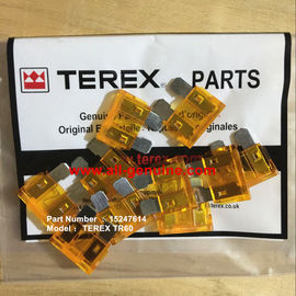 China TEREX 15247614 FUSE 5A  NHL DUMP TRUCK MINING QUARRY TR50 TR60 TR70 supplier