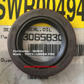 China CUMMINS ENGINE TEREX 3065830 SEAL OIL NHL DUMP TRUCK MINING QUARRY TR45 TR50 TR60 TR70 supplier