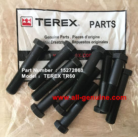 China TEREX 15272863 SCREW NHL DUMP TRUCK MINING QUARRY TR45 TR50 TR60 TR70 supplier