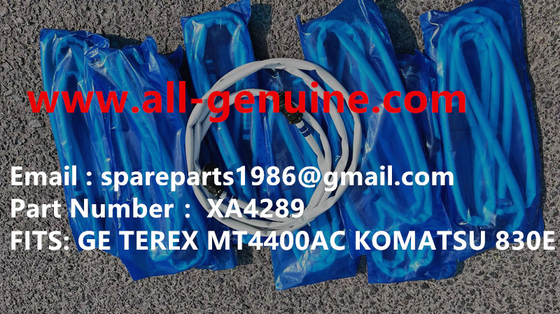 China XA4289 WHEEL MOTOR GE 5GEB25A KOMATSU 730E 830E  TEREX UNIT RIG BUCYRUS MT4400AC MT5500 MT3600 NTE240 NTE260 supplier