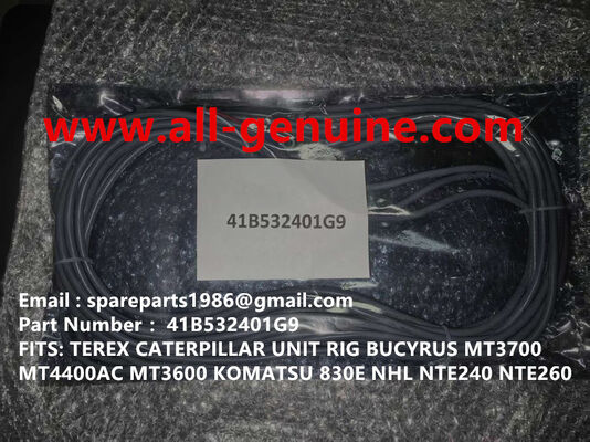 China 41B532401G9 CABLE GE TEREX UNIT RIG BUCYRUS  MT4400AC MT5500 MT3600 NTE240 NTE260 NHL DUMP TRUCK HAULER MINING supplier