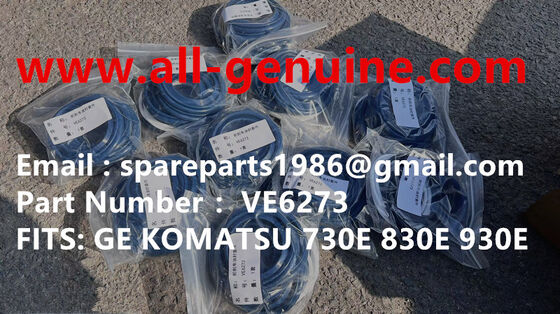 China VE6273 FRONT BRAKE KITS  MT4400AC MT5500 MT3600 MT3700 MT3300 TEREX UNIT RIG BUCYRUS NTE240 NTE260 WHEEL MOTOR DRIVE GE supplier