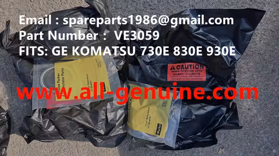 China VE3059 ACCUMULATOR KITS MT4400AC MT5500 MT3600 MT3700 MT3300 TEREX UNIT RIG BUCYRUS NTE240 NTE260 WHEEL MOTOR DRIVE GE supplier