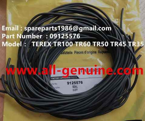 China 09125576 SEAL  OF TEREX NHL SANY TR35A 3303 3305 3307 TR50 TR60 TR100 NTE240 NTE260 MT3600 MT3700 MT4400AC supplier