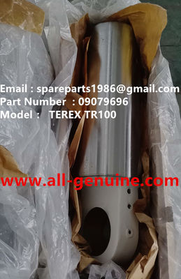 China 09079696 PISTON TEREX NHL DUMP TRUCK MINING TA40 TR50 TR60 TR70 TR100  MT4400 MT3600 MT3700 MT5500 GE NTE240 NTE260 supplier