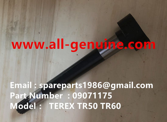 China 09071175 CAM SHAFT LH TEREX NHL DUMP TRUCK TA40 TR50 TR60 TR70 TR100  MT4400 MT3600 MT3700 MT5500 GE NTE240 NTE260 supplier