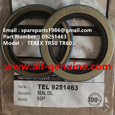 China 09251463 SEAL TEREX NHL DUMP TRUCK TA40 TR50 TR60 TR70 TR100  MT4400 MT3600 MT3700 MT5500 GE NTE240 NTE260 supplier