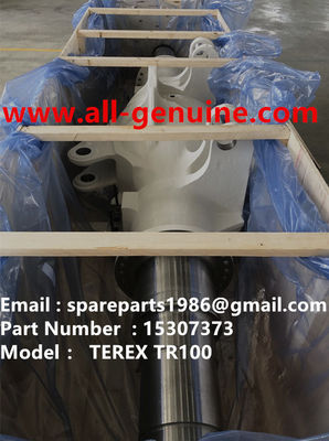 China TEREX REAR AXLE HOUSING 15307373 HOUSING  CUMMINS QUARRY NHL RIGID DUMP TRUCK TR35 TR50 TR60 TR100 3303 3305B 3307 3311 supplier