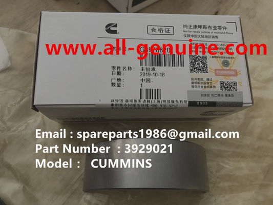 China 3929021 MAIN BEARING CUMMINS ENGINE TEREX NHL DUMP TRUCK  TR35 TR50 TR60 TR100 3305B 3305F 3303 3307 TR45 TR70 MT4400 supplier