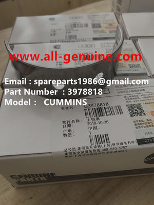 China 3978818 MAIN BEARING CUMMINS ENGINE TEREX NHL DUMP TRUCK  TR35 TR50 TR60 TR100 3305B 3305F 3303 3307 TR45 TR70 MT4400 supplier