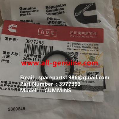 China 3977393 O RING CUMMINS ENGINE TEREX NHL DUMP TRUCK  TR35 TR50 TR60 TR100 3305B 3305F 3303 3307 TR45 TR70 MT4400 supplier