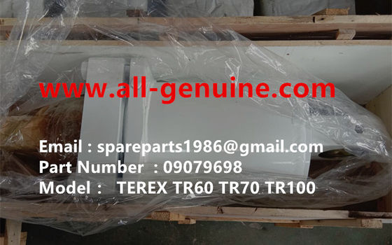 China 09079698 REAR RIDE CYLINDER TEREX NHL SANY TR35A 3303 3305 3307 TR50 TR60 TR100 NTE240 NTE260 MT3600 MT3700 MT4400AC supplier