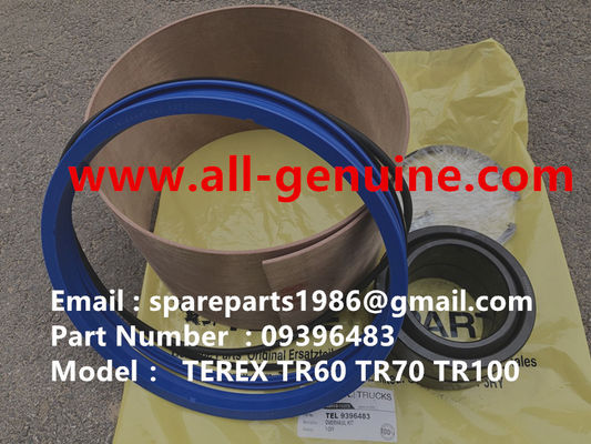 China 09396483 SUSPENSION KIT TEREX NHL DUMP TRUCK TR35 TR50 TR60 TR100  ALLISON UNIT RIG MT4400 MT3600 MT3300 MT3700 SANY supplier