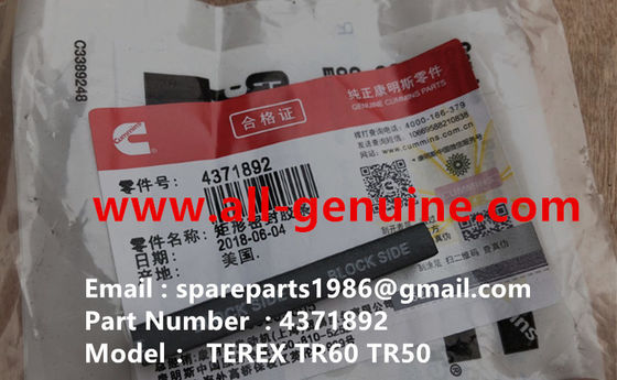 China CUMMINS 4371892 SEAL NHL DUMP TRUCK TR35 TR50 TR60 TR100 3305B 3305F 3303 3307 TR45 TR70 TEREX ALLISON UNIT RIG MT4400 supplier