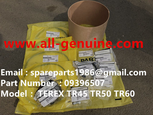China TEREX 09396507 OVERHAUL KIT NHL DUMP TRUCK TR35 TR50 TR60 TR100 3305B 3305F 3303 3307 TR45 TR70 MT4400 CUMMINS ALLISON supplier