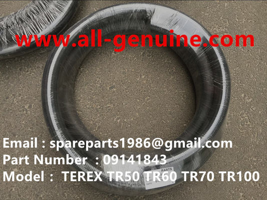 China TEREX 09141843 HOSE CUMMINS DUMP TRUCK MINING QUARRY TR50 TR60 TR70 TR100 TR45 TR35A 3305B 3305F 3305G 3305K 3307 3311E supplier