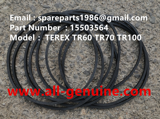 China 15503564 SEAL TEREX NHL DUMP TRUCK TR100 HAULER TRUCK OFF HIGHWAY supplier