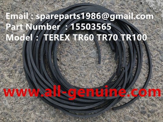 China 15503565 SEAL TEREX NHL DUMP TRUCK TR100 HAULER TRUCK OFF HIGHWAY supplier