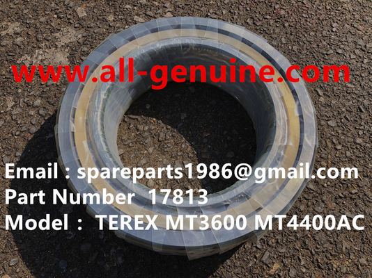 China 17813 BEARING MT4400AC MT5500 MT3600 MT3700 MT3300 TEREX UNIT RIG BUCYRUS CATERPILLAR NTE240 NTE260 WHEEL MOTOR DRIVE GE supplier