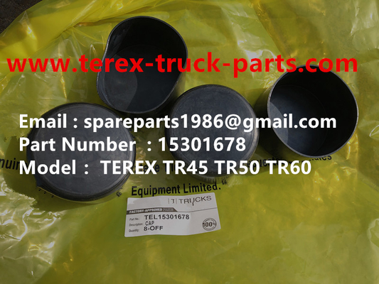 China TEREX 15301678 NHL DUMP TRUCK TR35 TR50 TR60 TR100 3305B 3305F 3303 3307 TR45 TR70 MT4400 supplier